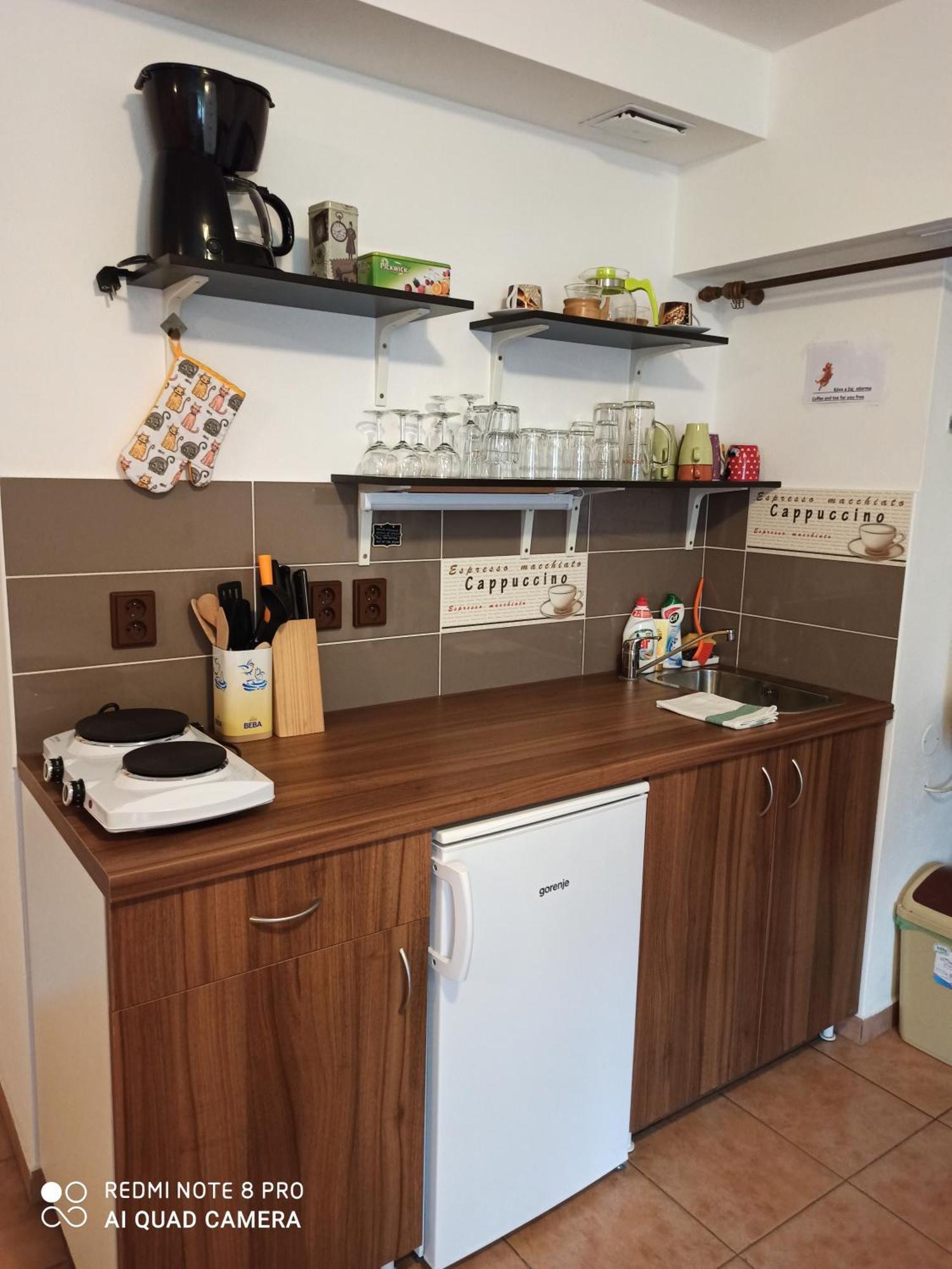 Apartman U Kocky บลันสโก ห้อง รูปภาพ